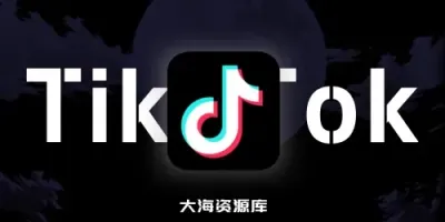 TikTok 抖音国际版 v36.4.4，去广告解锁+插件 v1.5 解锁全部国家任意切换版-大海资源库