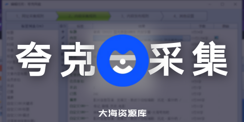 大海项目：Ripro v5主题复刻网盘资源站点【夸克网盘吧】分类、标签、图片-大海资源库