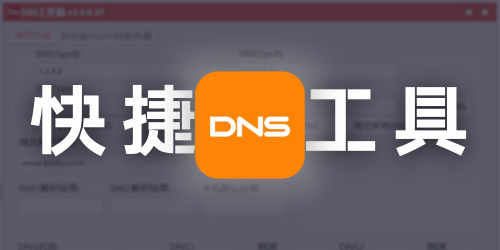 DNS快捷工具箱+轻量高性能DNS服务器 v1.0.0.27（快速设置DNS，清理DNS缓存）-大海资源库