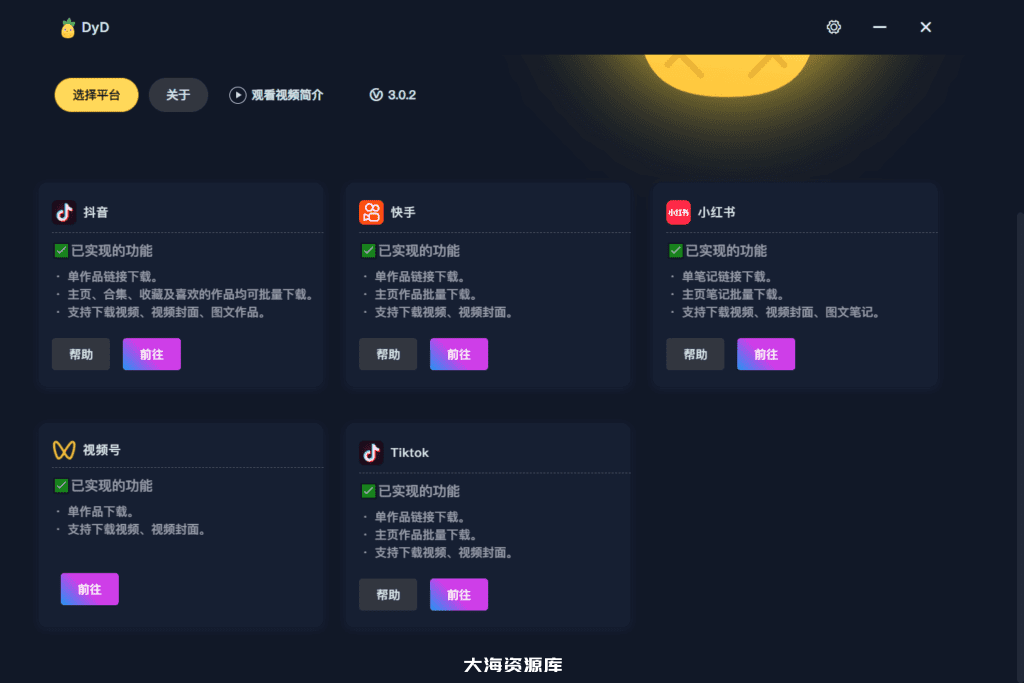 DyD 多平台批量无水印视频图集下载器 绿色便携版（不推荐更新）-大海资源库