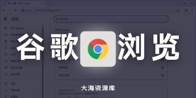 谷歌浏览器 Google Chrome v138.0.7204.101