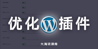 WPunion：WP必备的基础插件「集瘦身优化、安全增强、SEO、对象缓存、opcache缓存、邮件推送、公众号涨粉、高级简码于一身」-大海资源库