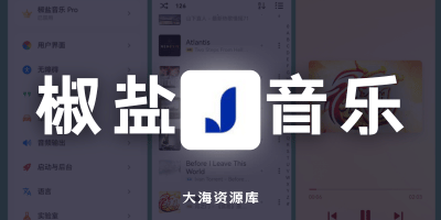 椒盐音乐 Salt Player v11.1.0「本地 MP3 无损音乐播放器」-大海资源库