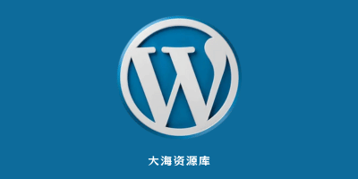 WordPress v6.9 中文版必备优化代码 \ 优化教程-大海资源库