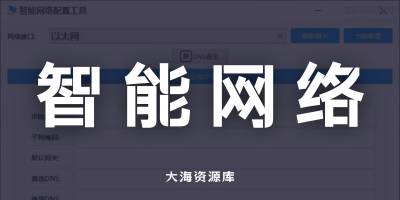 智能网络配置工具「支持一键切换静态IP与DHCP，并内置海量DNS库可快速填充」-大海资源库