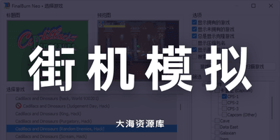 FinalBurn Neo 游戏机模拟器完整包「FBNeo」-大海资源库