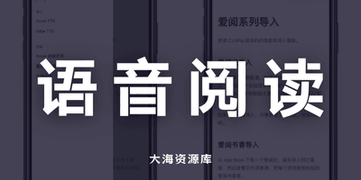 将 Azure TTS 导入阅读「让你拥有媲美真人的AI语音阅读」-大海资源库