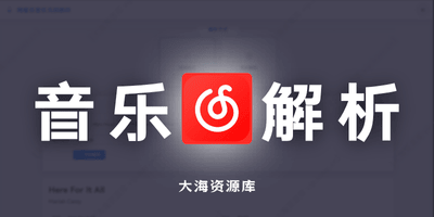 网易云音乐在线无损解析「支持单曲解析、歌单解析」-大海资源库