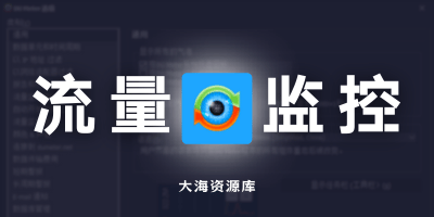 DU Meter 网络流量监控工具 v9.01.4874 中文直装版-大海资源库