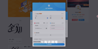 子比 - 前端切号/用户数据管理 v3.0-大海资源库