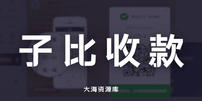 子比插件 v1.2「易支付收款之都是我的钱」-大海资源库