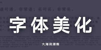网站字体美化 JetBrains Maple Mono-大海资源库