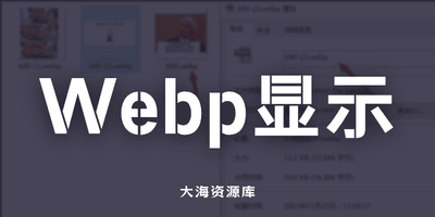 WebP Codec for Windows（WebP缩略图显示工具）-大海资源库