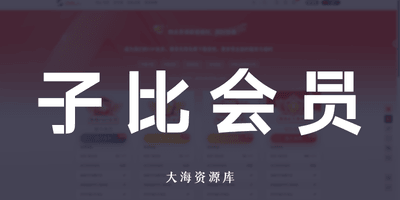 zibll VIP会员页插件 v1.0.2（小白专享）-大海资源库