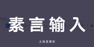 素言输入法 SuYan v3.5.1「拒绝臃肿与监控」-大海资源库