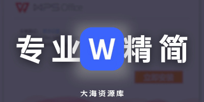 WPS Office 2019、2023 专业精简版 v12.8.2.18923（内存低、运行快、体积小巧）-大海资源库